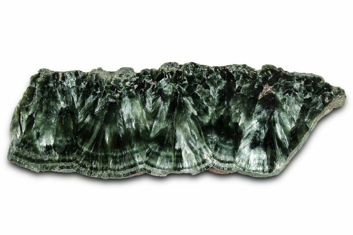 Polished Seraphinite Slab - Korshunovkiy Mine, Siberia #354258